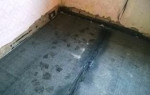 Najlacnejšie podrezanie domu  Slovensko – fotka 2